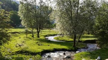 Tokat’ın yayla cenneti: Çiçeklerle bezeli “Çatak Yaylası”