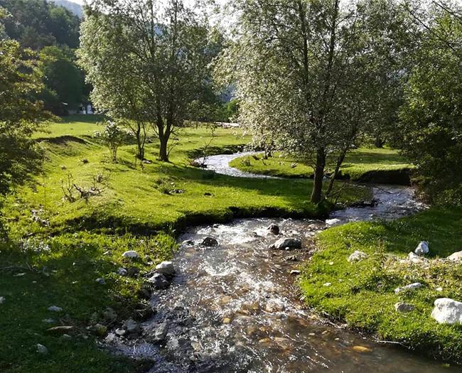 Tokat’ın yayla cenneti: Çiçeklerle bezeli “Çatak Yaylası”