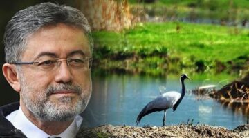 Türkülerin ilhamı turnalar Tokat’ta özenli ve sıkı takipte