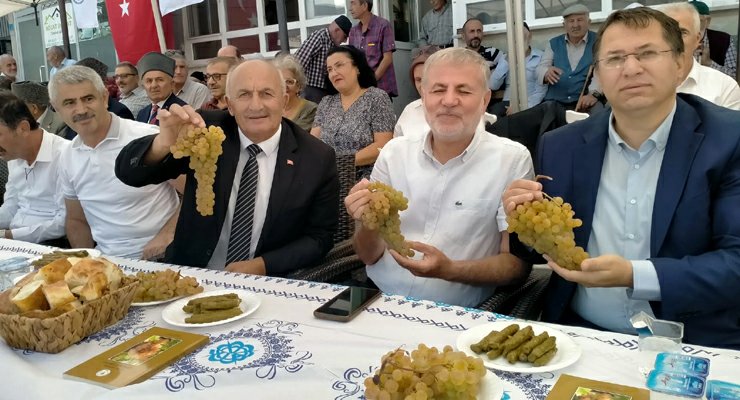 Gökçeli’de, Bağbozumu etkinliği gerçekleşti