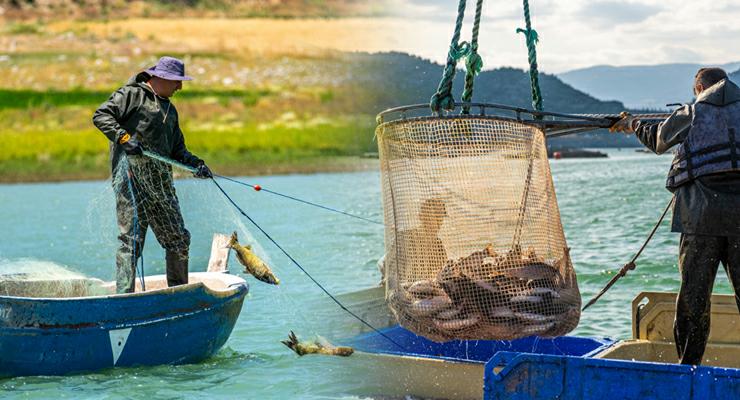 Almus’un Balıkçılıkla büyüyen ekonomisi ve Doğal güzellikleri