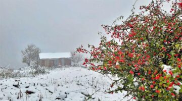 Tokat beyaz örtüyü epeyce sevdi gözüküyor