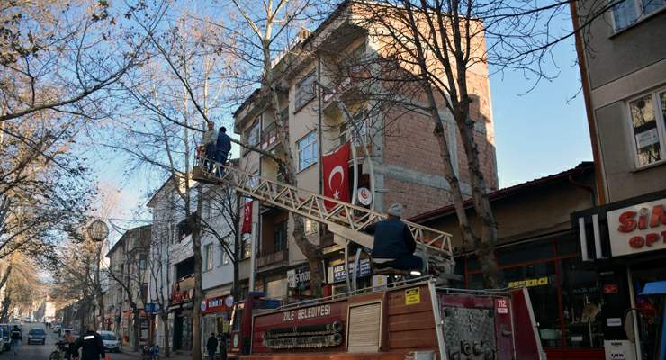 Zile Belediyesi ağaçları bahara hazırlanıyor