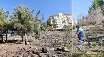 Tokat Belediyesi’nden “Daha Yeşil Bir Tokat” için fidan dikim ve bakım çalışmaları