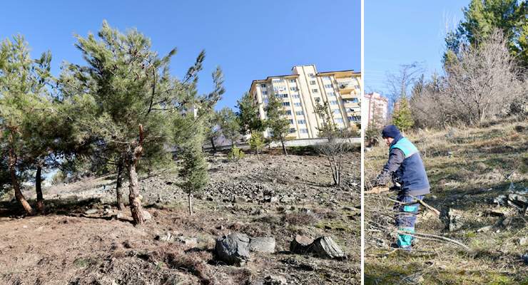 Tokat Belediyesi’nden “Daha Yeşil Bir Tokat” için fidan dikim ve bakım çalışmaları