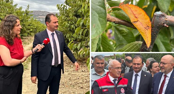 Cüneyt Aldemir, “Üreticimizin emeğini koruyacak, Tarımsal üretimimizi güçlendireceğiz”