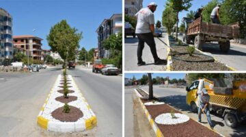 Zile’de, “Kuru Peyzaj” uygulamasıyla su tasarruflu ve estetik çözüm