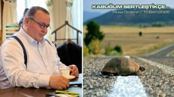 KABUĞUM SERTLEŞTİKÇE…