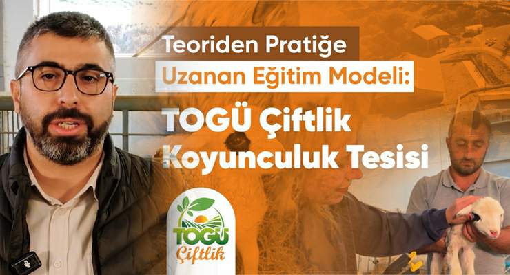 TOGÜ “Çiftlik Koyunculuk Tesisi” öğrencileri geleceğe hazırlıyor