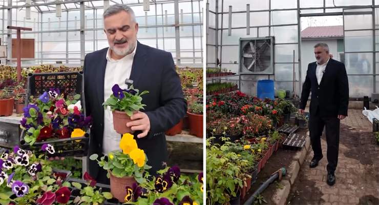Niksar Belediyesi, Kendi çiçeğini kendi üretiyor