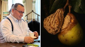 DALDAN DÜŞMEDEN ÇÜRÜYENLER