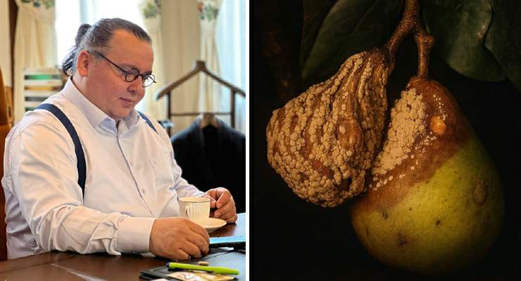 DALDAN DÜŞMEDEN ÇÜRÜYENLER