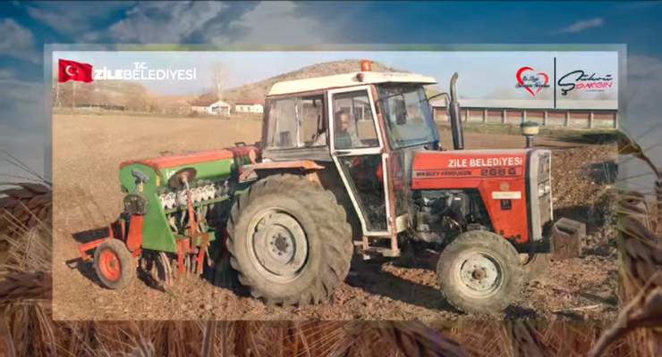Zile Belediyesi’nden 15 dönümlük arazide “Buğday Ekimi”
