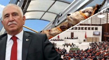 Vekil Durmaz’dan 2026 hayvan ithalatına 15 soruluk TBMM hamlesi