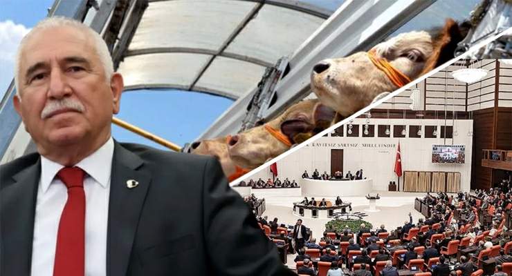 Vekil Durmaz’dan 2026 hayvan ithalatına 15 soruluk TBMM hamlesi