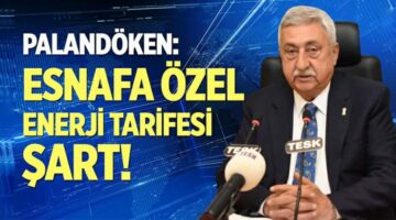 Başkan Palandöken, “Esnafa özel enerji tarifesi şart”