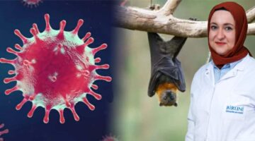 Nipah virüsü için uzmanından uyarı, “Ölümcül seyir gösterebilir”