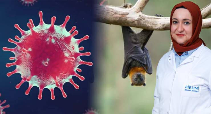 Nipah virüsü için uzmanından uyarı, “Ölümcül seyir gösterebilir”