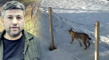 Tokat’ta belgeselleri aratmayan köy