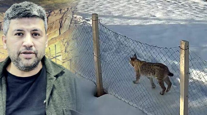 Tokat’ta belgeselleri aratmayan köy