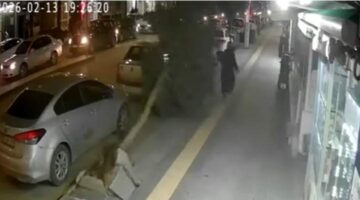 Tokat’ta fırtına ağacı devirdi, vatandaş saniyelerle kurtuldu