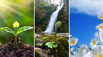 Baharın müjdesi “Cemreler” düşmeye başladı