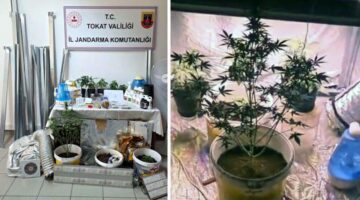 Bilgi notuyla apartman dairesinde uyuşturucu serası kurdular, Jandarmadan kaçamadılar