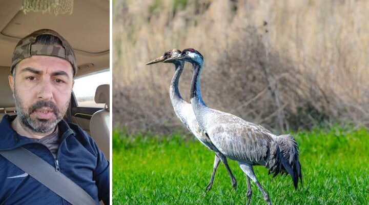 Türkülere konu olan turnalar objektiflere takıldı