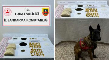 Tokat’ta zehir tacirlerine darbe