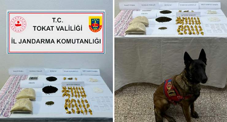 Tokat’ta zehir tacirlerine darbe