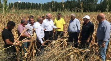 CHP’li Durmaz, “Mısırda yapılması gereken ithalatın önünü açmak değil, Üreticinin önünü açmaktır”