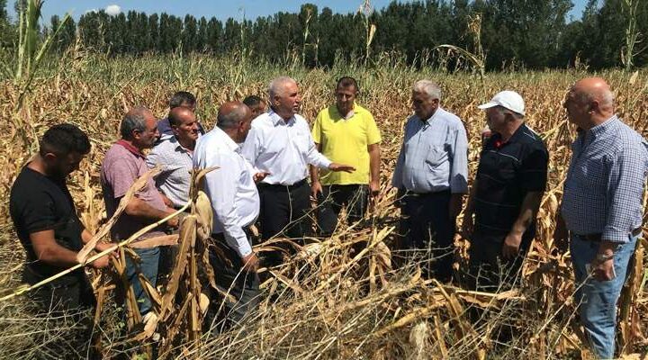 CHP’li Durmaz, “Mısırda yapılması gereken ithalatın önünü açmak değil, Üreticinin önünü açmaktır”