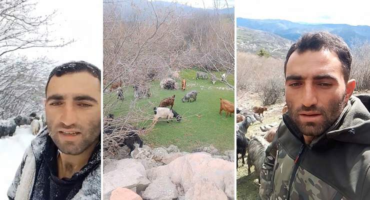 Tokat’ta yaylada kışın ayazında türküleriyle ısınan çoban, baharı da türküyle karşıladı