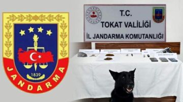 Tokat’ta jandarmadan zehir tacirlerine operasyon: 5 gözaltı