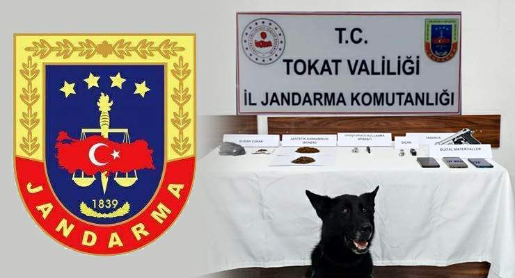 Tokat’ta jandarmadan zehir tacirlerine operasyon: 5 gözaltı