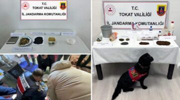 Tokat’ta jandarmadan uyuşturucu operasyonu: 8 gözaltı