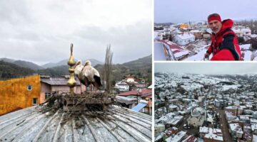 Tokat’ın Başçiftlik ilçesine 25 yıl sonra dönen leylekler, nisan ayında kar altında kaldı