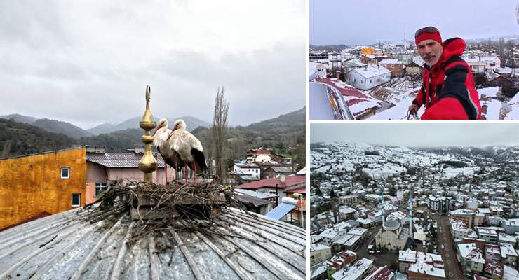 Tokat’ın Başçiftlik ilçesine 25 yıl sonra dönen leylekler, nisan ayında kar altında kaldı