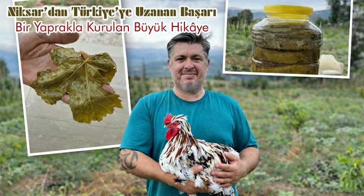 Yaprakla kurulan büyük hikâye, Niksar’dan Türkiye’ye uzanan başarı