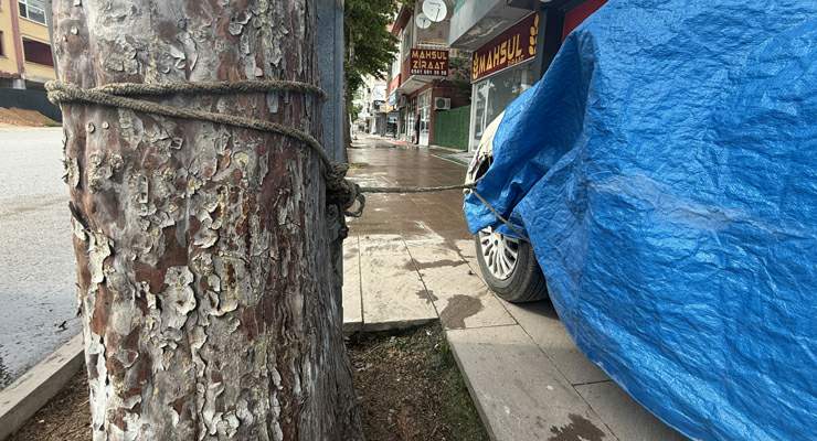 Turhal’da taşkın korkusuyla vatandaş otomobilini ağaca bağladı