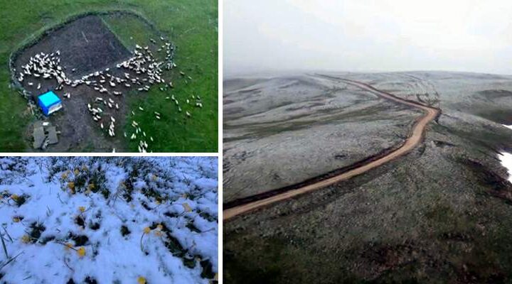 Başçiftlik’te mayıs sonunda kar sürprizi: Osmanlı Yaylası beyaza büründü