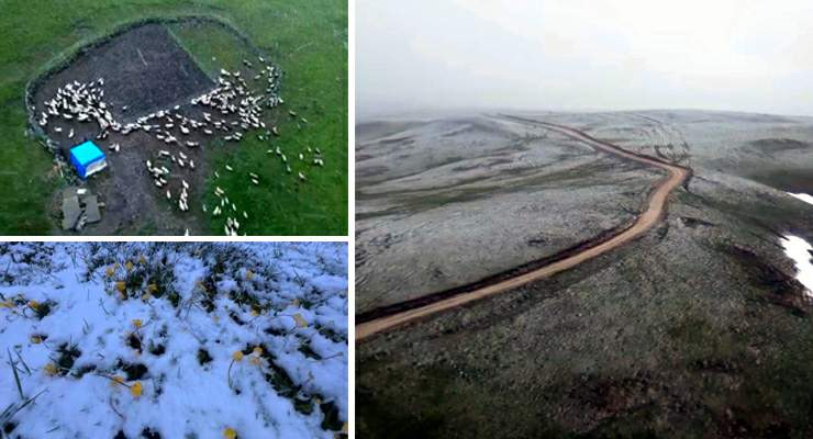 Başçiftlik’te mayıs sonunda kar sürprizi: Osmanlı Yaylası beyaza büründü