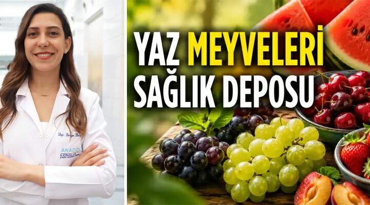 Yazın en sevilen 6 meyvesi sağlığa da katkı sağlıyor