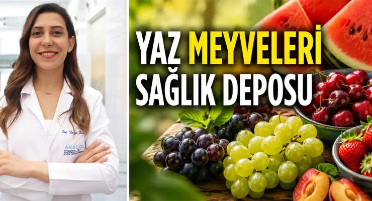 Yazın en sevilen 6 meyvesi sağlığa da katkı sağlıyor