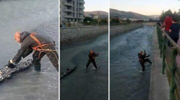 Çaya düşen yavru kediyi Turhal itfaiye ekipleri kurtardı