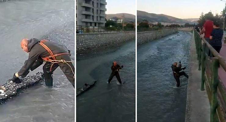 Çaya düşen yavru kediyi Turhal itfaiye ekipleri kurtardı