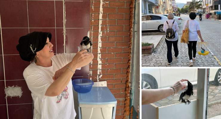 Yaralı bulduğu yavru saksağan kahvaltı arkadaşı oldu