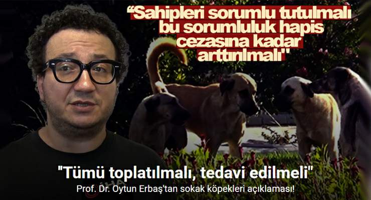 Prof. Dr. Oytun Erbaş: “Sokaktaki tüm köpekler toplatılmalı, tedavi edilmeli”