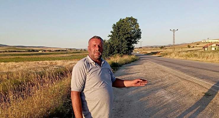 Tokat’ta binlerce kurbağa kara yolunu istila etti