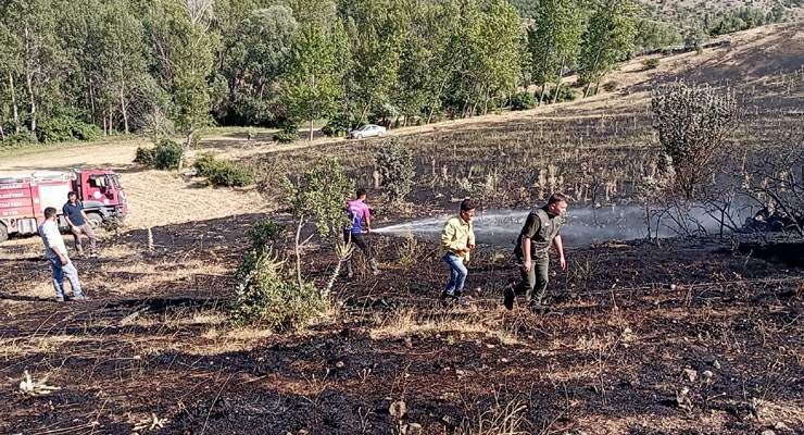 Tokat’ta örtü yangını: 15 dönüm ekili arazi küle döndü